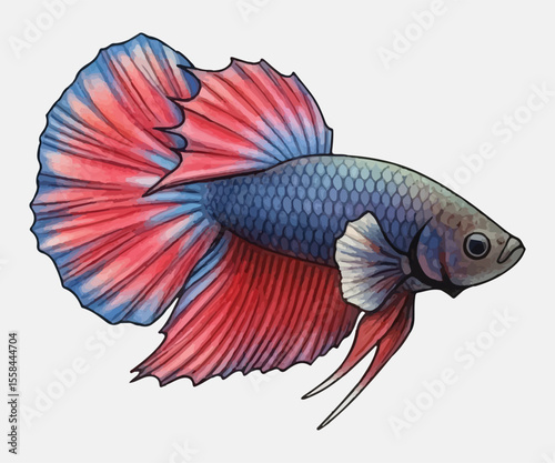 Adobe Illustrator Artwork