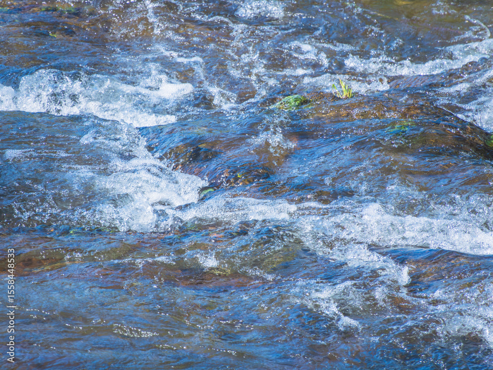 Obraz premium 初夏の日差しに輝く清流の流れ72