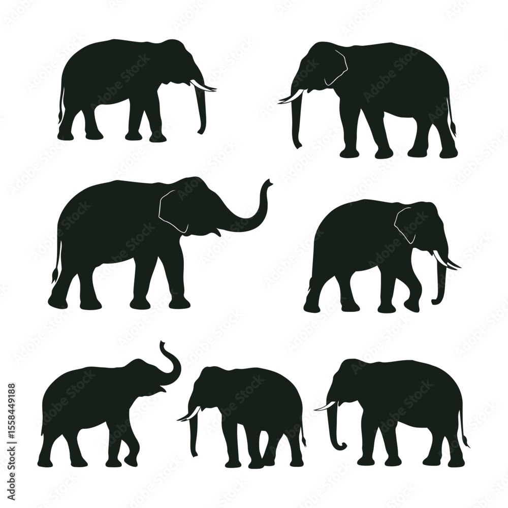 Fototapeta premium Silhouette set of Elephant vector collection