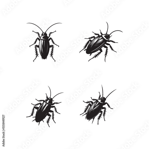 coackroach silhouettes