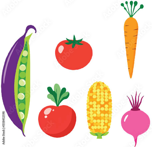 Fresh colorful vegetable collection with tomato, carrot, beet, radish, corn, and pea pod in detailed vector EPS illustration