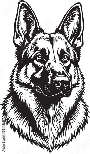 Majestic Shepherd: A meticulously crafted illustration showcases the noble and intelligent face of a German Shepherd dog, a symbol of loyalty.
