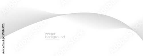 Curve shape flow vector abstract background in light grey gradient, dynamic and speed concept, futuristic technology or motion art.