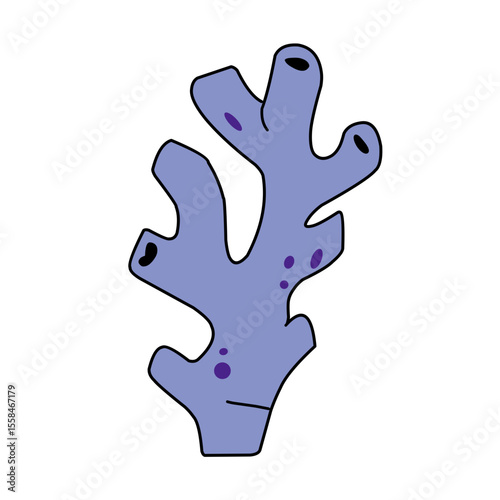 Colorful Seaweed illustration
