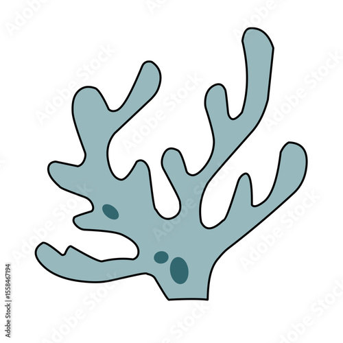 Colorful Seaweed illustration