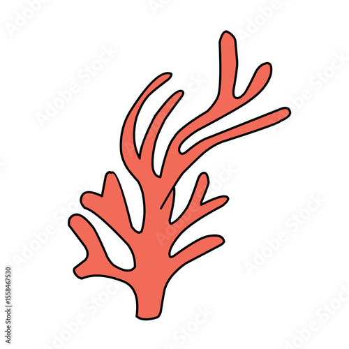 Colorful Seaweed illustration
