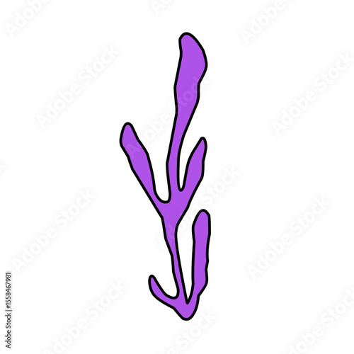 Colorful Seaweed illustration