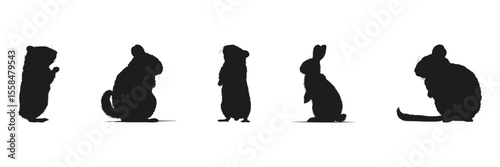 Small Animal Silhouettes In Solid Icon Set. Wildlife Observation And Pet Behavior Symbol Collection. Environmental And Educational Use. Isolated Vector Illustration