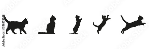 Cat Movement Silhouette Set. Feline Behavior And Activity Symbol Collection. Pet Observation And Animation Use. Isolated Vector Illustration