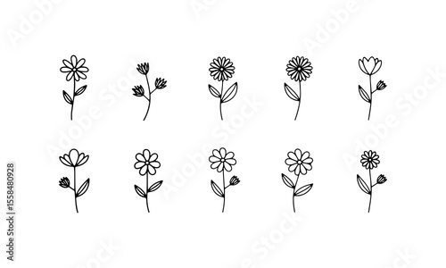 Detailed Garden Line Set. A charming variety of fine-line flowers with simple botanical forms and subtle differences, perfect for nature-inspired compositions and branding.