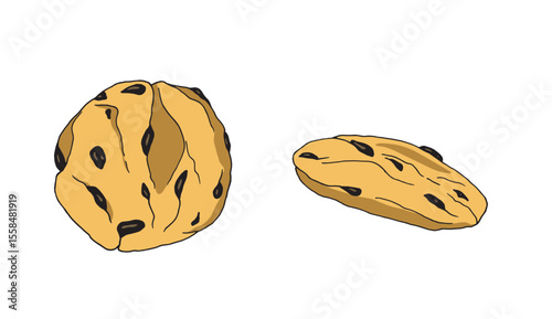 Vector hand drawn chocolate chip cookies isolated on whitebackground. Gingerbread cookies. Hand drawn illustration. National Chocolate Chip Cookie day.