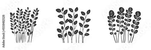 Silhouette Of Various Leafy Plant Stems. Botanical Nature Elements For Design. Isolated Vector Illustration Collection