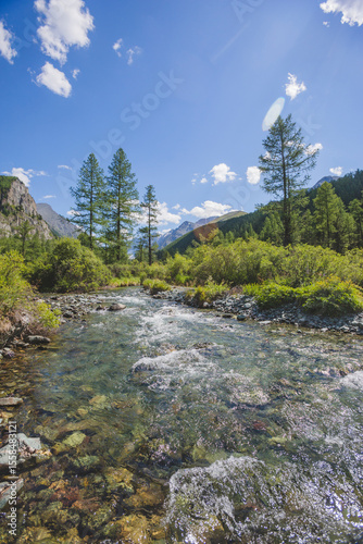 River in the Kuiguk Valley. Altai mountains. Summer landscape