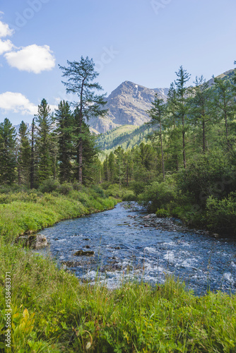 River in the Kuiguk Valley. Altai mountains landscape