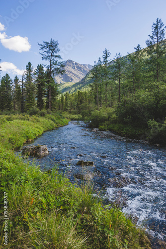 River in the Kuiguk Valley. Altai mountains landscape