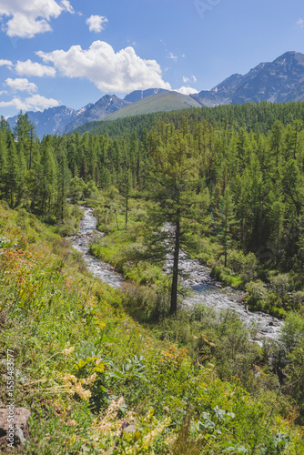 River in the Kuiguk Valley. Altai mountains landscape