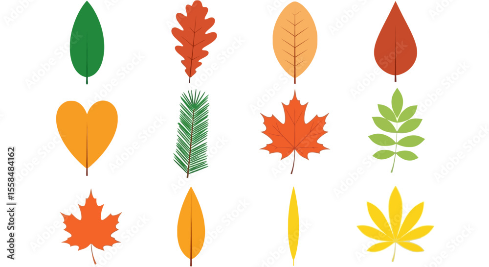 Fototapeta premium Collection of Autumn Leaves Vector Illustrations of Various Leaf Shapes and Colors for Fall Designs