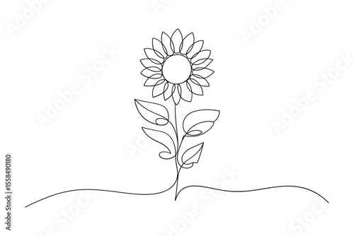 Minimalist sunflower line art vector illustration