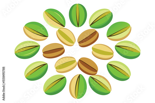 Delicious Pistachios A Vibrant and Nutritious Delight