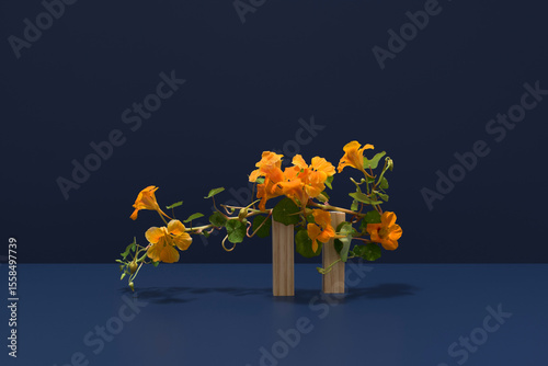 Nasturtium plant with vibrant orange blooms on display