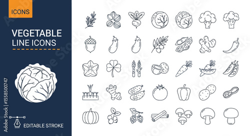 Vegetable Icons Outline Style Icons for Healthy Eating, Featuring Fresh Produce, Cabbage, and More