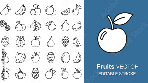 Illustration of various fruits including bananas apples pears and berries on white back