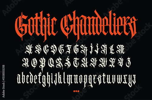 Gothic font from Latin letters. Vector. English alphabet. Medieval European style. English alphabet 9th-19th century. Symbols and signs for monogram and design. Modern calligraphy.
