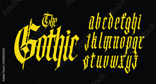 Gothic font from Latin letters. Vector. English alphabet. Medieval European style. English alphabet 9th-19th century. Symbols and signs for monogram and design. Modern calligraphy.
