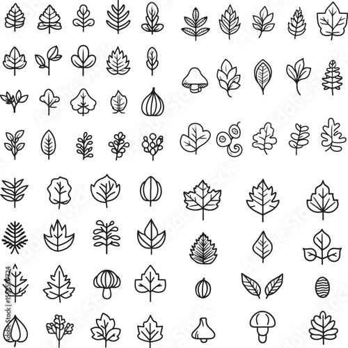 A set of simple icons representing autumn leaves and plants, each in black  outline with a white background. The icon collection includes various leaf shapes such as oak,