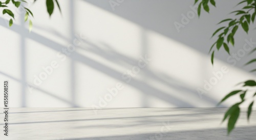 白壁に映る木漏れ日 静かな空間 穏やかな光