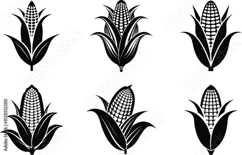 Corn silhouette  set, vegetable icon, farm illustration