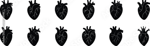 Anatomical heart vector silhouette icon set. heart icon set. human heart icon vector illustration on white, heartbeat, medical, health, cardiology illustration, biology, human heart collection