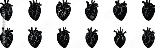 Anatomical heart vector silhouette icon set. heartbeat,  anatomy, medical, health, cardiology, system, biology, vector, organ, body, human heart collection on white background