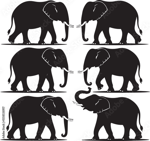 Set of vector ,elephants black silhouettes isolated on a white background