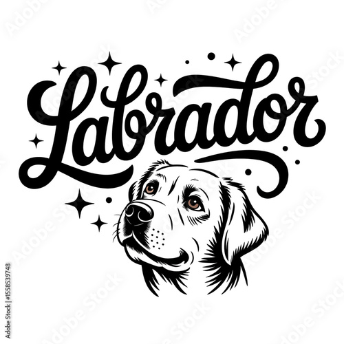 Cute illustration of a Labrador dog with creative lettering highlighting its breed in a playful design