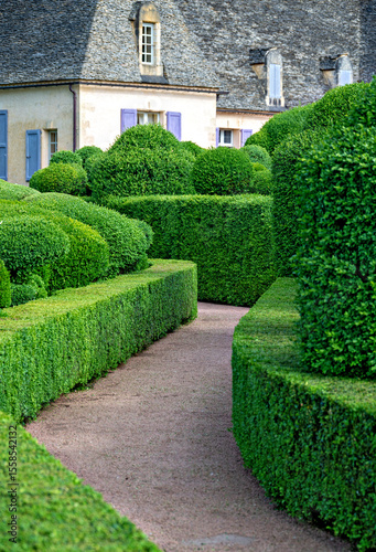 Curved walkway between artfully trimmed box trees in the famous garden of Marqueyssac in the Perigord region, France