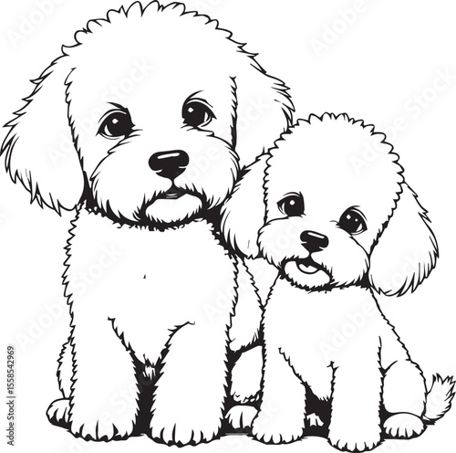 Canine Companions: Two charming Bichon Frise dogs, rendered in detailed line art, offering a study in affectionate companionship. A heartwarming illustration for pet lovers.