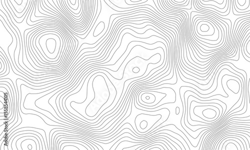 Background of the topographic map. Topographic lines, contour background. topo map texture. Dense lines, Background of the topographic map. Topographic lines texture.