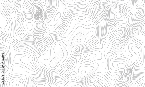 Luxury abstract line art background vector Texture pattern background design for wall arts, fabric , packaging , web, banner, app, wallpaper. Topography background. 
