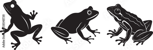 silhouette of a frog