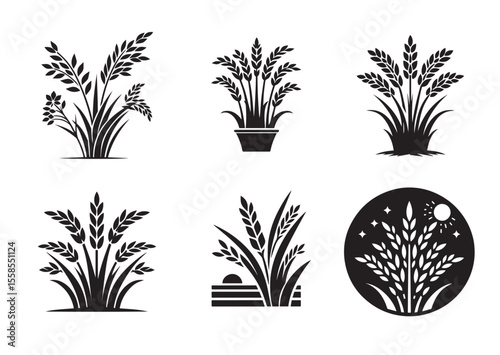 Rice plant Silhouette Vector Illustration Set