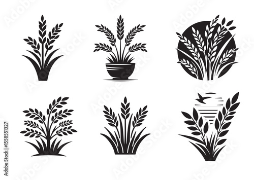 Rice plant Silhouette Vector Illustration Set