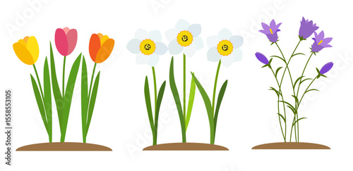 Spring Tulip, Bluebell and Narcissus. Flowers Background
