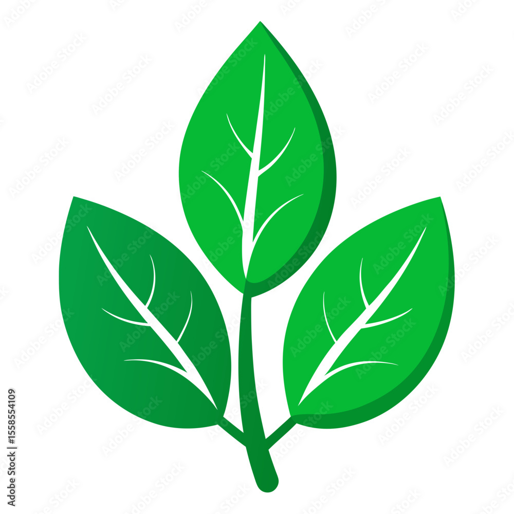 Fototapeta premium green leaf icon