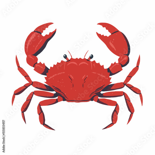 A vibrant red crab with raised claws and a textured shell on a white background