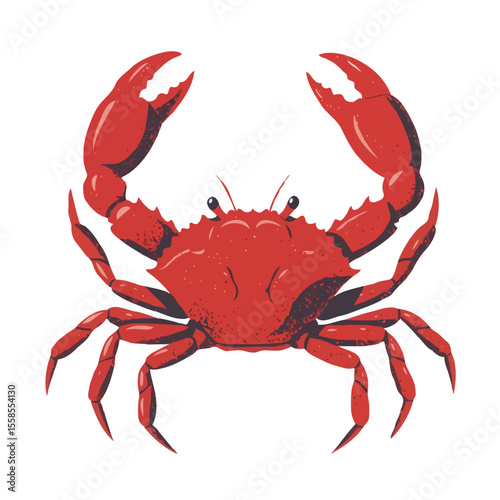 A vibrant red crab with raised claws and multiple legs on a white background