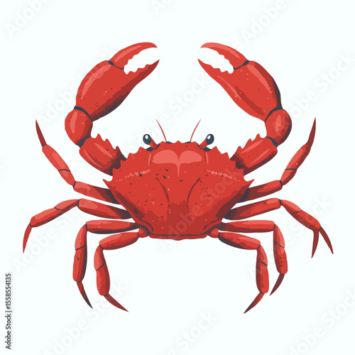 A vibrant red crab with raised claws and multiple legs on a white background