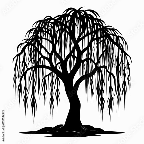 Weeping Willow Silhouette