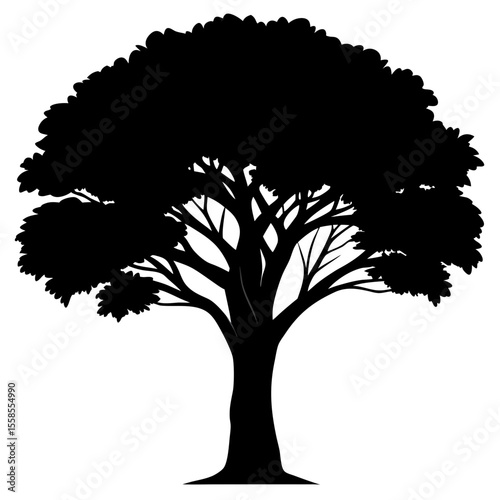 Vibrant Summer Tree Silhouette