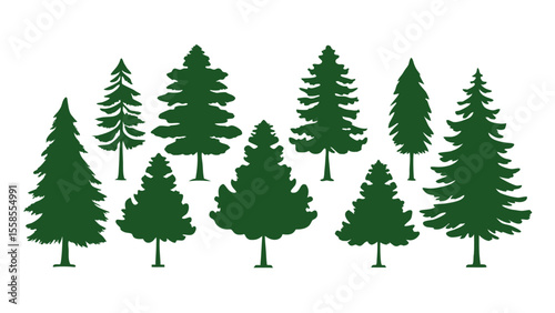 A row of evergreen tree silhouettes in various sizes